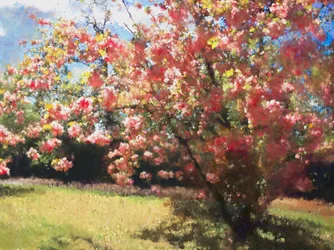 Fleur de cerisier